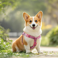 Stripe Step in Dog Harness for Small Dogs, Freedom Nylon Dog Halter Vests, Lightweight and Escape Proof Puppy Harness, Quick Fits for Small Medium and Large Dogs, Pink M