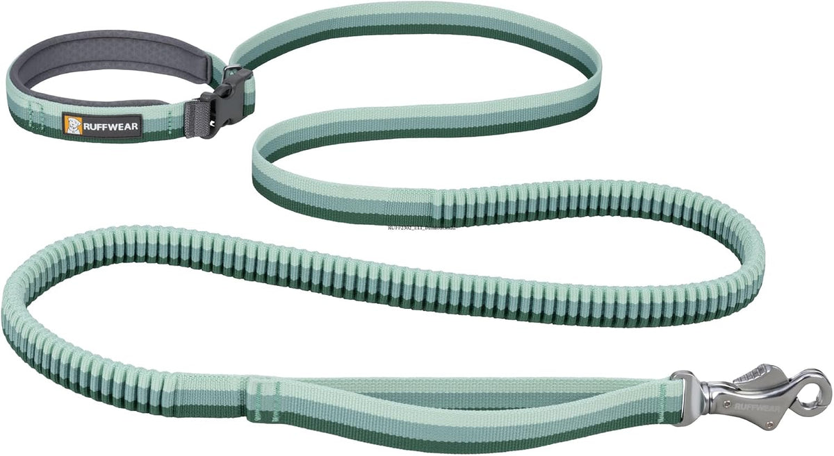 Ruffwear, Roamer Bungee Dog Leash - 5.5'-7' / River Rock Green