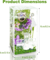 Jumping Spider Enclosure, DIY Insects Habitat - Purple - image 3
