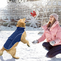 Malier Dog Coat Warm Dog Winter Coat - Blue / X-Large - image 4