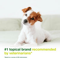 Douxo S3 SEB Dog Seboregulating Mousse, 0.5% Ophytrium - image 3