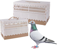 Plastic Foldable Pigeon Cage with Handle, S, Two Doors – Essentials for Birds - 16.9"L x 11.0"W x 9.4"H