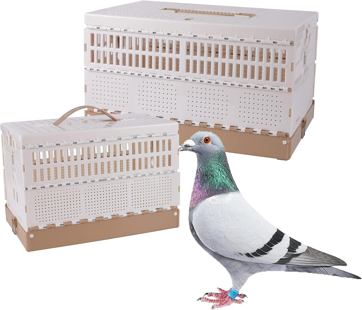 Plastic Foldable Pigeon Cage with Handle, S, Two Doors – Essentials for Birds - 16.9"L x 11.0"W x 9.4"H
