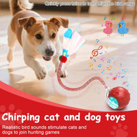 Interactive Cat Toys Smart Ball for Cats & Dogs! Now with 2 Rapid - Yellow＆Green - image 2