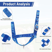 XUANNIAO Easily Adjustable Figure 8 Cow Halter, Double-Ply Premium Livestock Cattle Halters, Colorful Cow Utility Calf Halter with Leading Rope for Miniature Horse Donkey Goat Foal (Large, Blue)