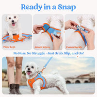rabbitgoo Dog Harness Small Medium Sized and Leash Set, Step in Soft Light Puppy Vest, Breathable Mesh Pet Harness, Reflective for Safe Easy Walking, Blue & Orange XL