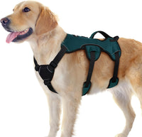 rabbitgoo Escape Proof Dog Harness for Large - Dark Green / Large