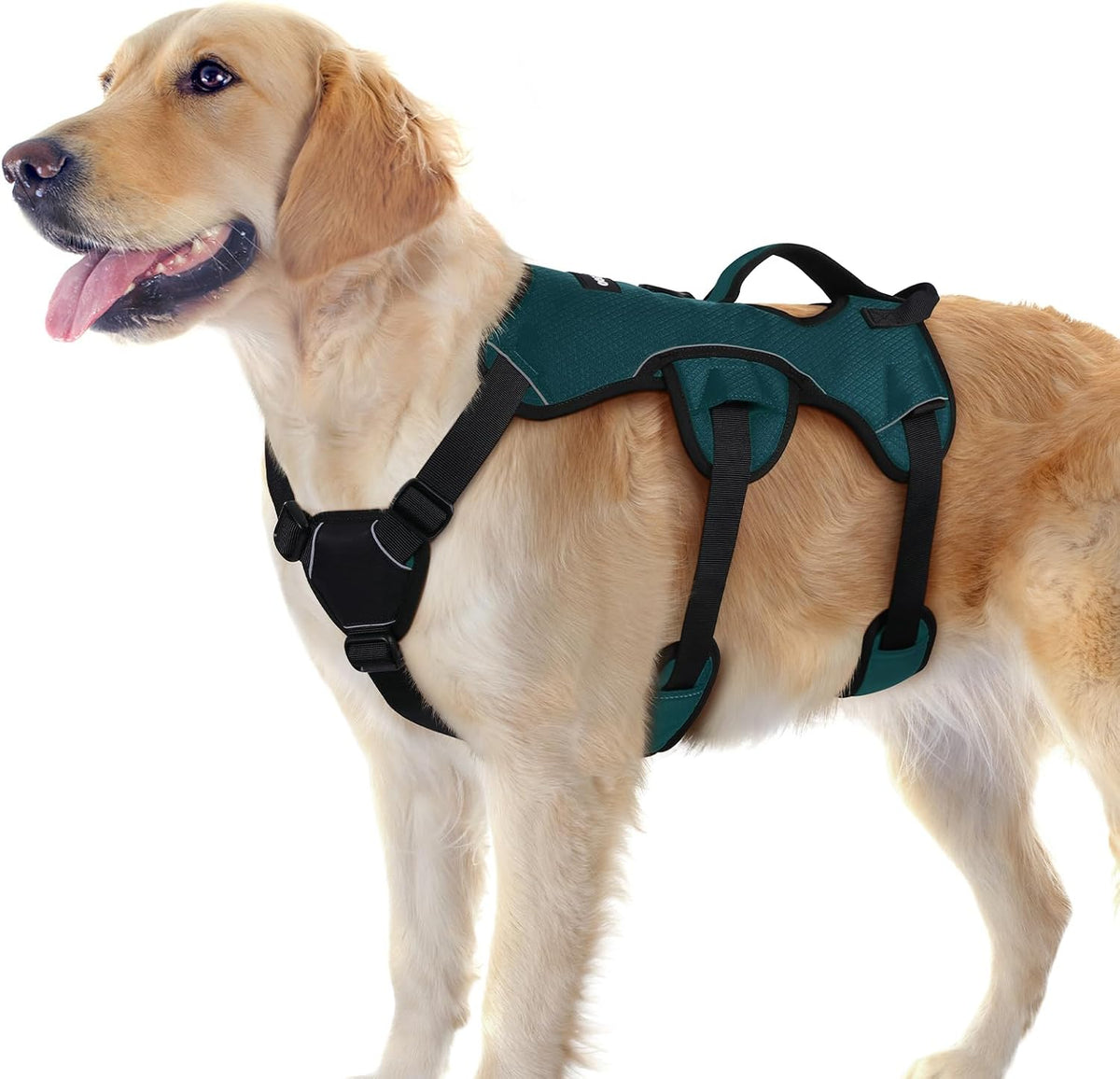 rabbitgoo Escape Proof Dog Harness for Large - Dark Green / Large