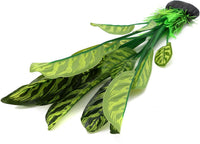 Silk Aquarium Plants, 12 Inch Artificial Silk Plants Decorations – Essentials for Fish - Green With Stripes / 2 Pack - image 4