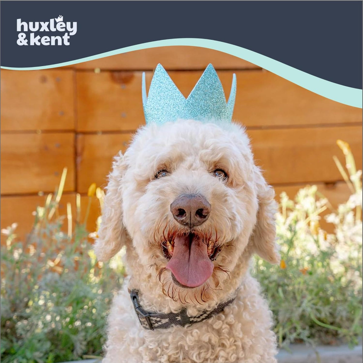 Huxley & Kent Party Crown Hat for Dogs & Cats - Small / Blue - image 3