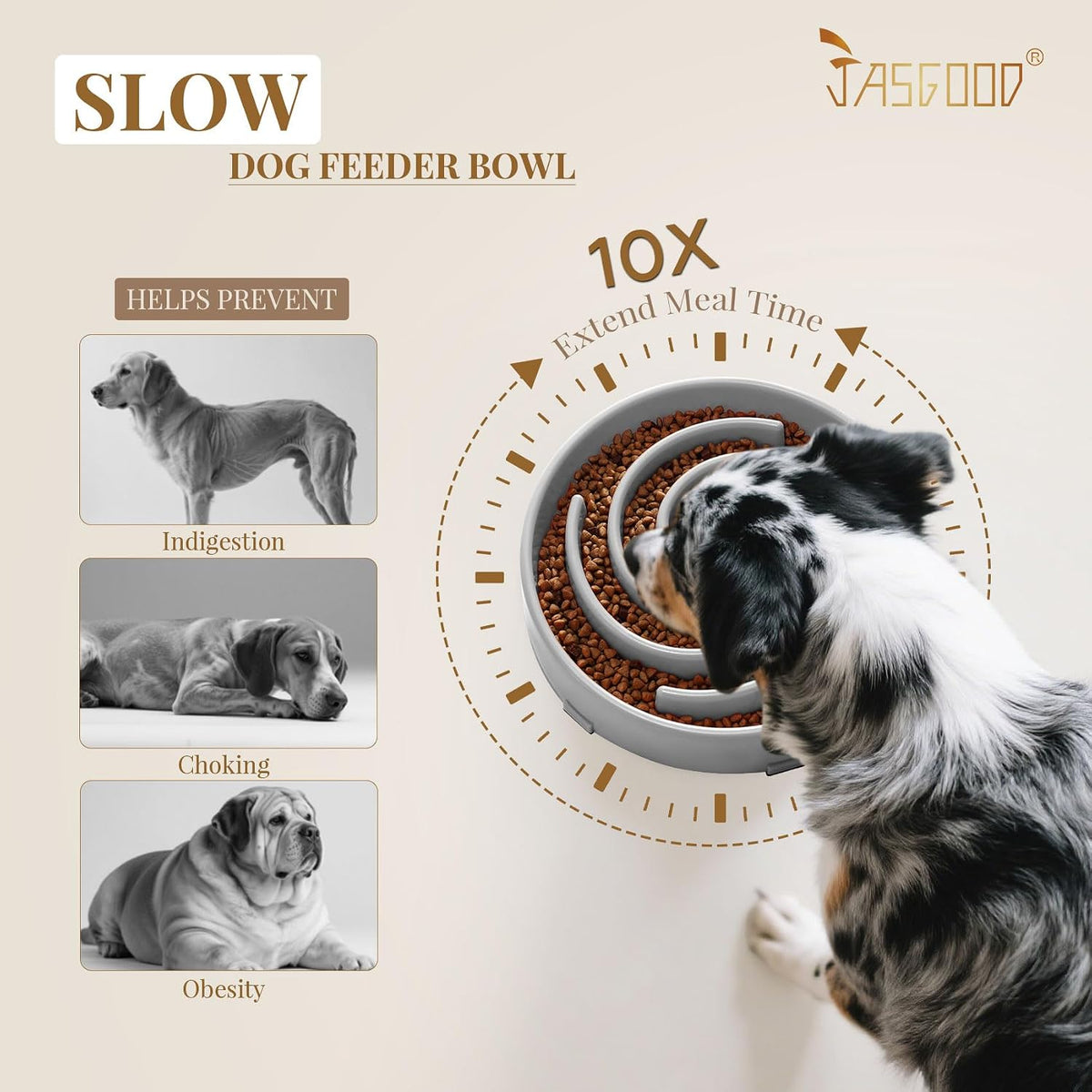 JASGOOD Slow Feeder Dogs Bowl for Large Medium Dogs - Large / E-Light Grey - image 3