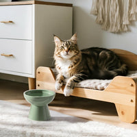 Extra Wide Elevated Ceramic 6.2" Shallow Cat Food Bowl – Essentials for Cats - Sage Green-Deeper - image 3