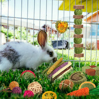 YIXUND Rabbit & Guinea Pig Toys - 27 Pcs - image 2