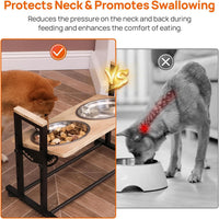 Adjustable Height Pet Feeder Stand with 2 Dishwasher-Safe Stainless - image 3