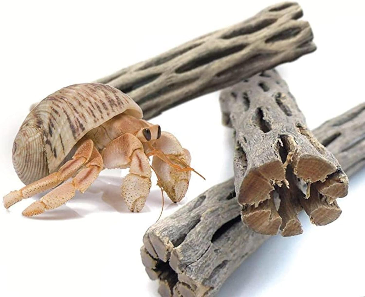 SunGrow 3 Pack Shrimp Cholla Wood - 6 Pieces - image 2