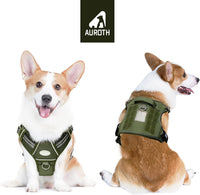 AUROTH Dog Harness for Large Dogs - Green - Deep Enrich / M(Neck:16-22",Chest:22-33"),35-50 lbs - image 2