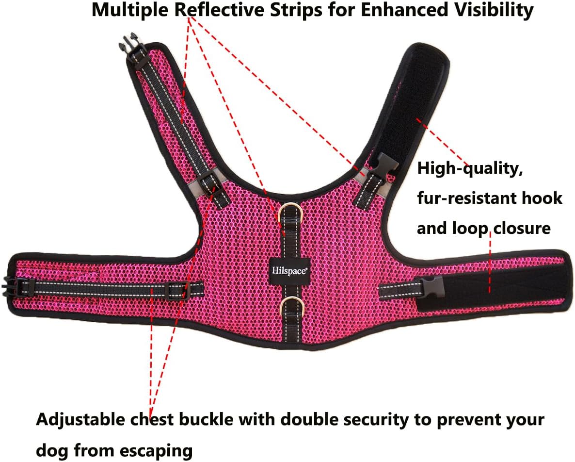 Mini Dachshund Harness, No Armpit Rub, Escape Proof, Reflective - Rose Red / S: Chest 32-41cm (12.5"-16") - image 3