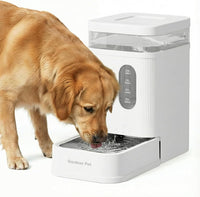 2.2 Gallon Automatic Dog Water Dispenser with Stainless Steel Bowl – Essentials for Dogs - White / 1.7 Gallon