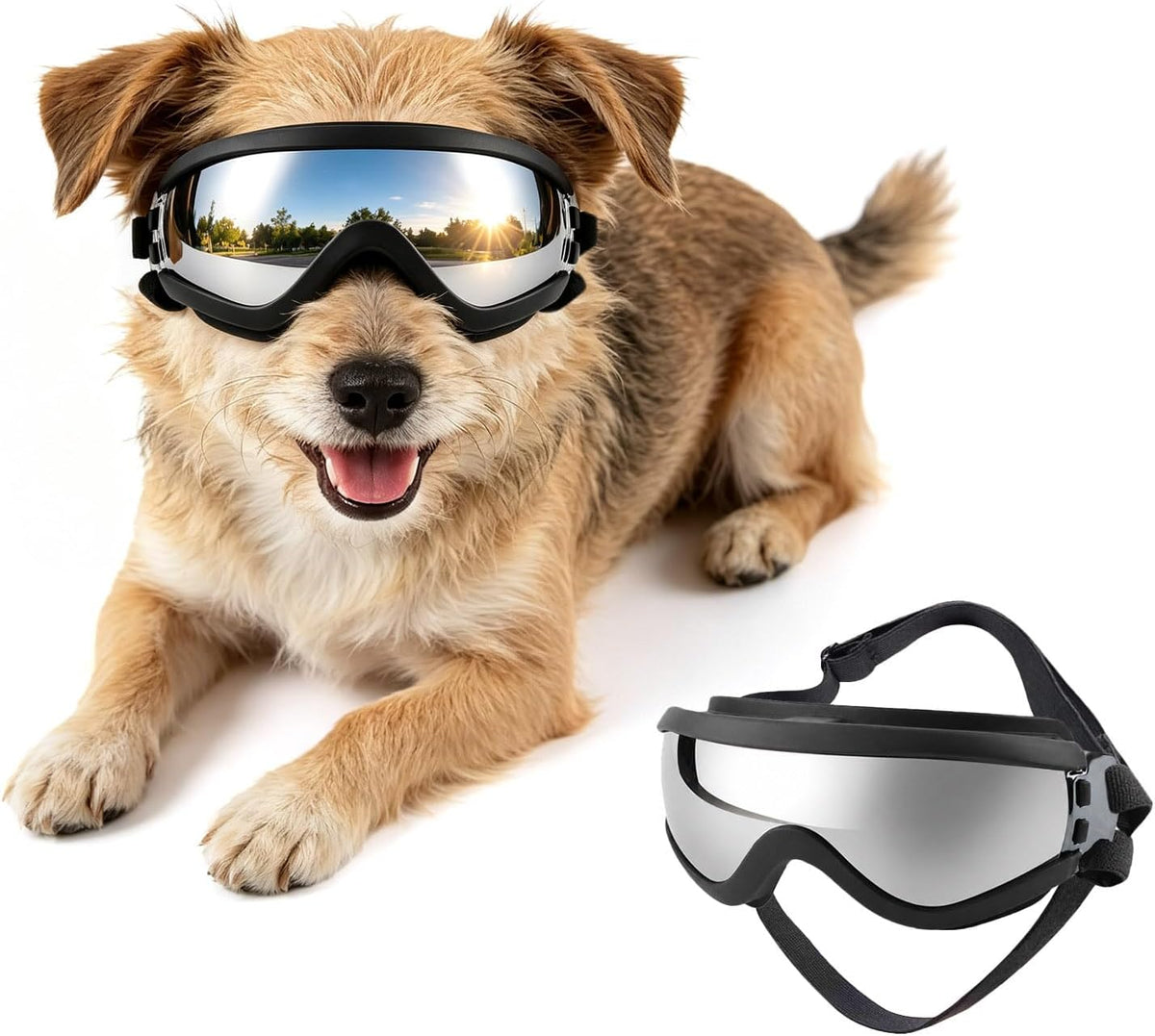 Dog Goggles Medium Breed Windproof Anti-Fog Dog Sunglasses Clear View - Small / Black