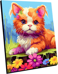 Paint by Numbers DIY Acrylic Painting Kit for Kids & Adults Beginner - Mimi Cat Framed