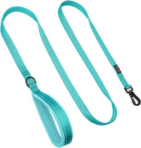6FT Reflective Dog Leash for Small Medium Dogs, 5/8" Width - Teal / 3/4''x 6 FT - image 3
