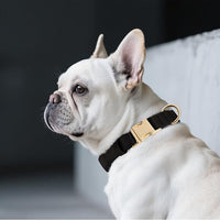 Didog Soft Padded Dog Collar for Large Dogs, Colorful and Durable Pet Collar with Quick Release Buckle, Light and Breathable for Daily Walking, Black, L
