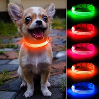 Light Up Collar for Small Dogs& Cats - XS (9.45-14inch / 24-35.5cm) / Orange