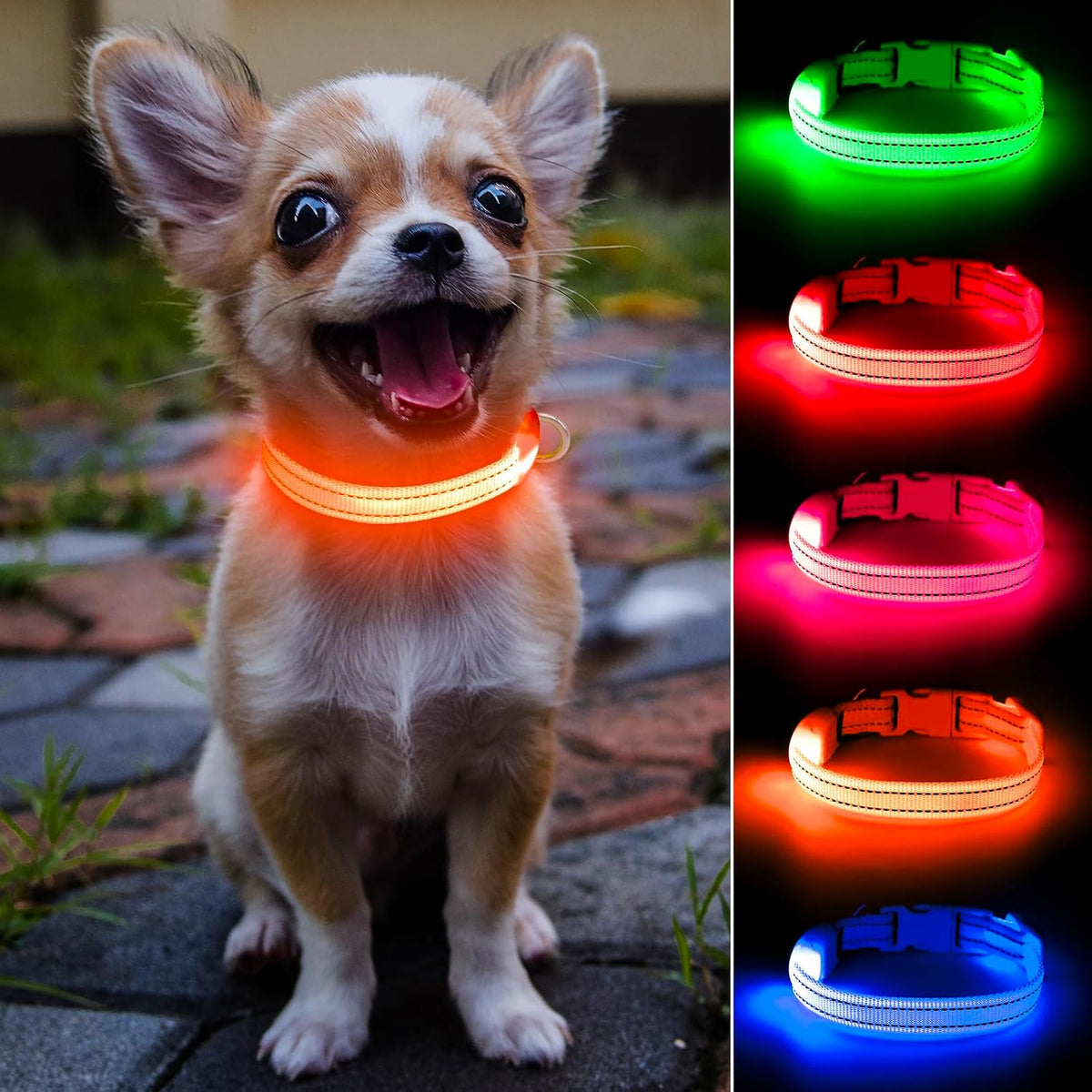 Light Up Collar for Small Dogs& Cats - XS (9.45-14inch / 24-35.5cm) / Orange