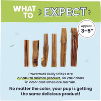Pawstruck Natural 3–5" Bully Sticks for Small Dogs and Puppies – Single Ingredient, Low-Odor, Rawhide-Free Chew Treat – 100% Real Beef, No Artificial Preservatives – 8 oz Bag – Packaging May Vary