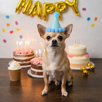 10pcs Colorful Mini Party Hats - Colorful - image 3