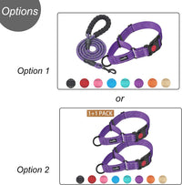 Haapaw Escape-Proof Martingale Dog Collar - Purple / S / 1 Collar + 1 Leash - image 2