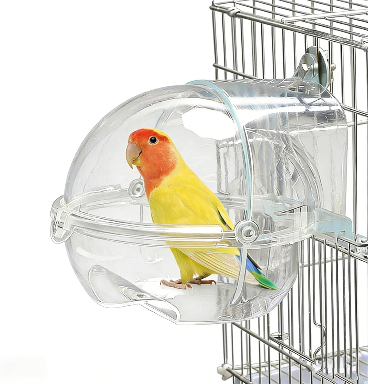 Automatic Bird Shower with Pump - 【Roundness Transparent Bird Bath】