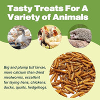 20LB Dried Black Soldier Fly Larvae, 86X Calcium Than Dried Mealworms, High Protein Non-GMO Organic Chicken Feed