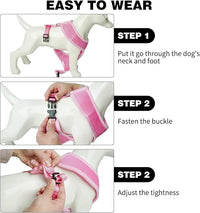 BINGPET Dog Vest Harness -Light Weight Breathable Sports Mesh - Pet Adjustable Harness Puppy Padded Harnesses Dog Vest Harness for Small Dogs