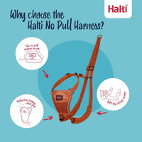 Halti No Pull Dog Harness, Size M - Burnt Orange / XS - image 2