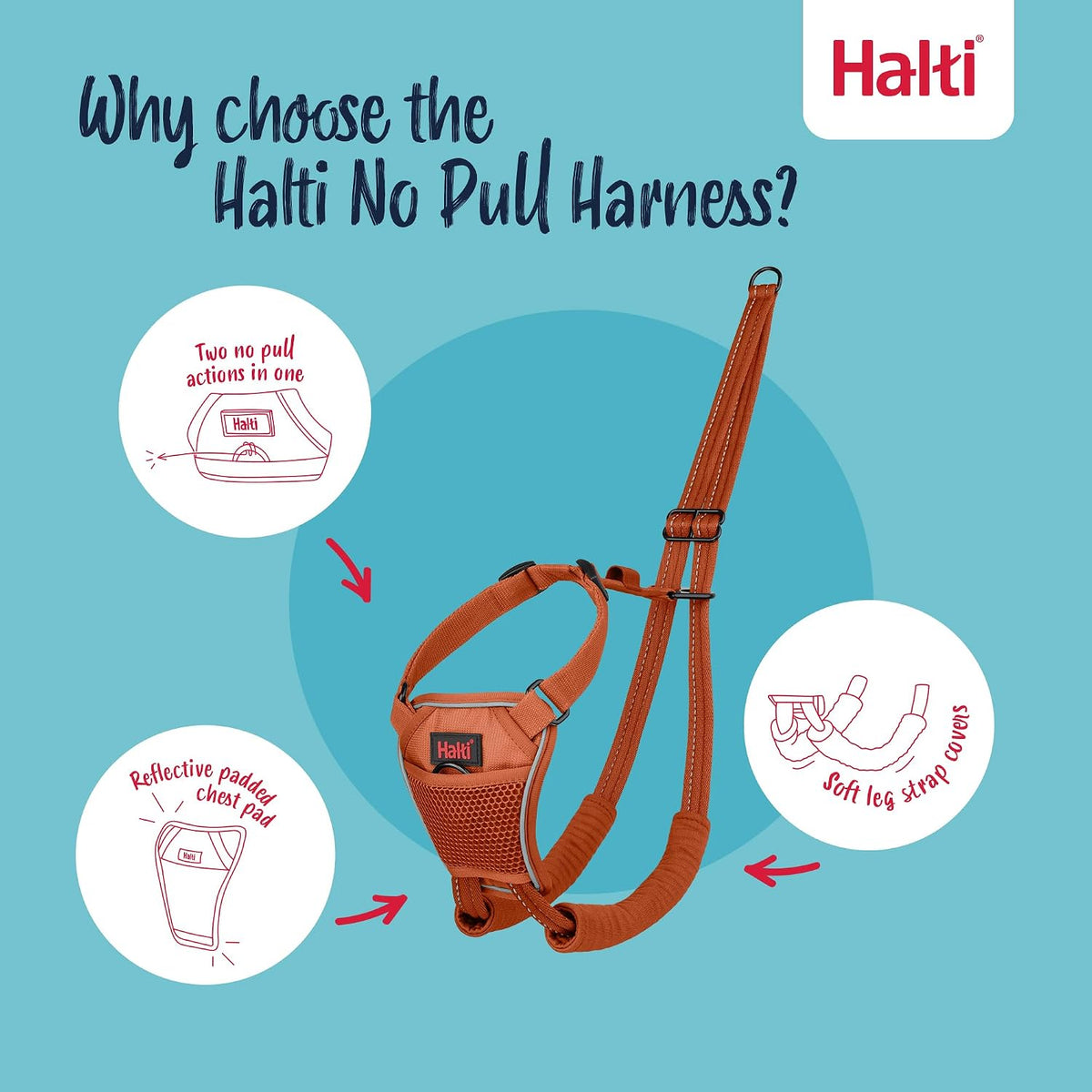 Halti No Pull Dog Harness, Size M - Burnt Orange / XS - image 2