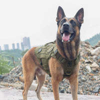 OneTigris Large Tactical Dog Harness No Pull Handle XL Black – Essentials for Dogs - Small / Green - image 4