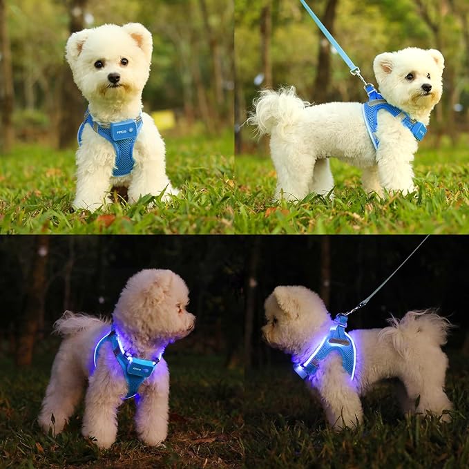Light Up Dog Harness,Rechargeable LED Dog Harness for Small Medium Large Dogs,Reflective Lighted Safety Vest for Night Walking & Camping,Lightweight & Adjustable,Sky Blue,XS