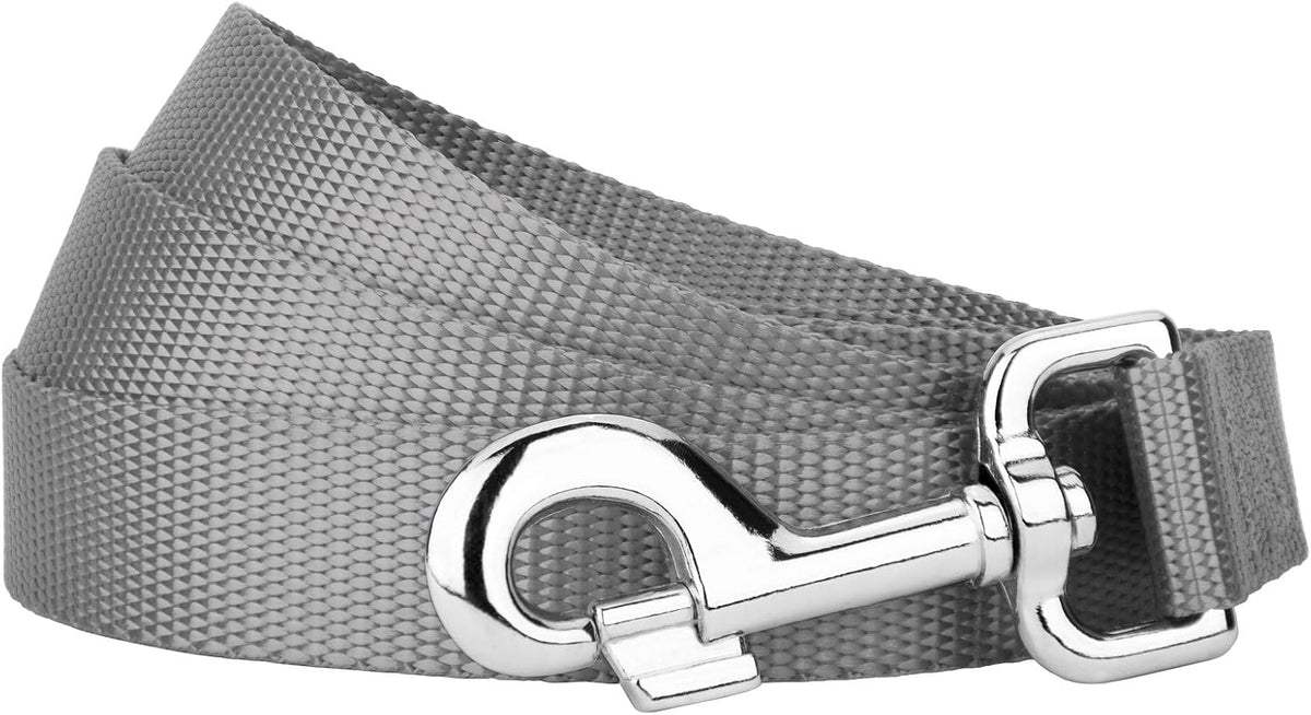 Country Brook Petz, Everyday Nylon Dog Leash - Silver / 6 Foot X 1 Inch Wide (Pack of 1)