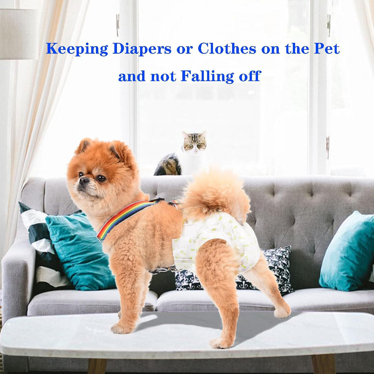 2 Pieces Dog Diaper Suspenders - Rainbow, Blue / XL - image 2