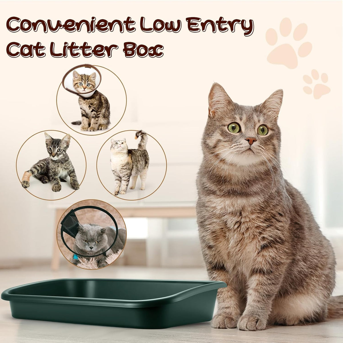 Uiifan 3Pcs Low Entry Cat Litter Box - Dark Green / 23 x 16 x 4.3 - image 4