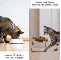 Elevated Cat Food Bowl for Indoor Cats - 2 Bowls / Brown - image 2