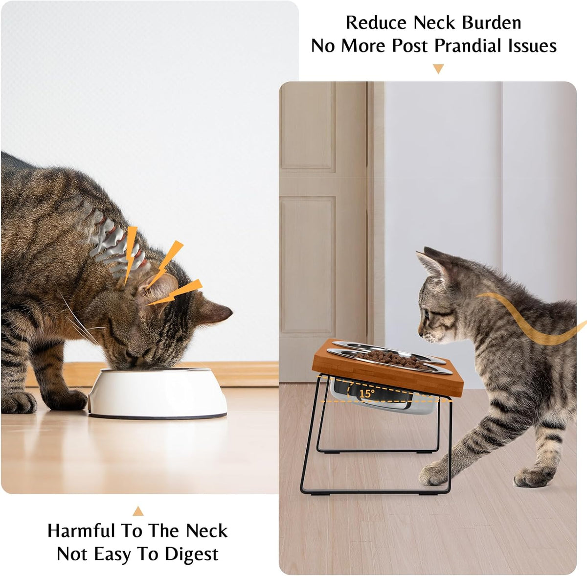 Elevated Cat Food Bowl for Indoor Cats - 2 Bowls / Brown - image 2