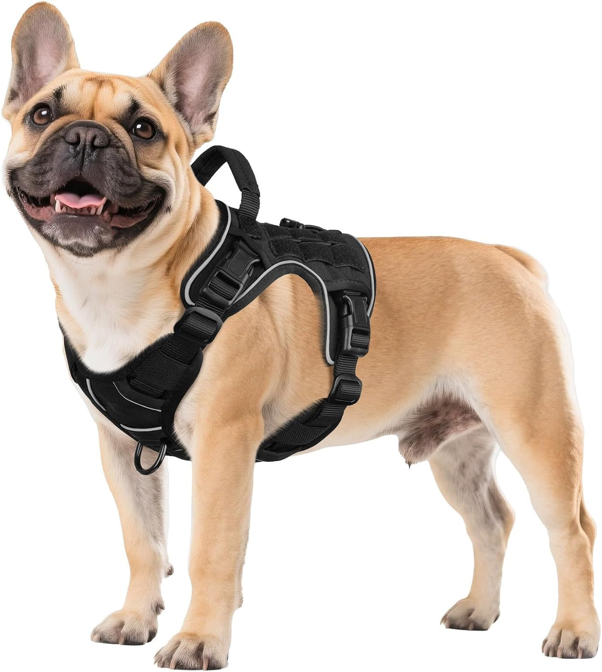 Tactical Dog Harness for Large Dogs - Black / Small: 15-30 lbs (Chest:20-26",Neck:15-18")