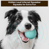 iPettie Summer Floating Dog Ball, Squeaky Water Fetch Toy – Essentials for Dogs - 2.5" x 2.5" - image 3