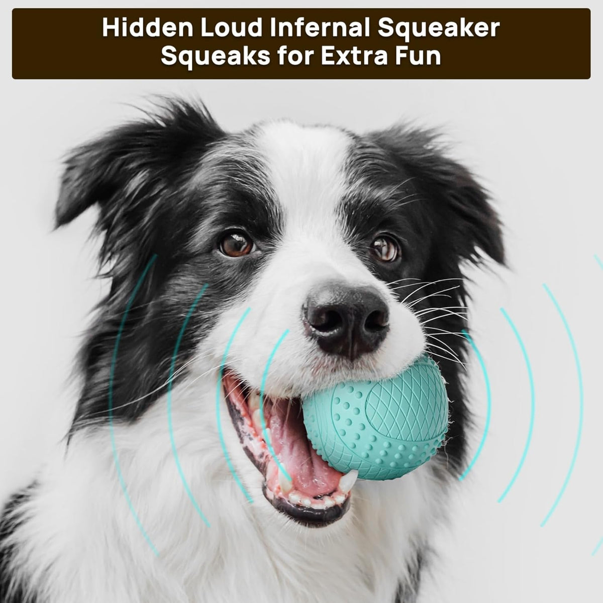 iPettie Summer Floating Dog Ball, Squeaky Water Fetch Toy – Essentials for Dogs - 2.5" x 2.5" - image 3
