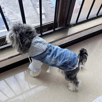 Puppy Harness Jacket for Small Dogs - Breathable Soft Dog Clothes with D-Ring for Leash, Lightweight Comfort Vest for Small Breed Puppies, Cats