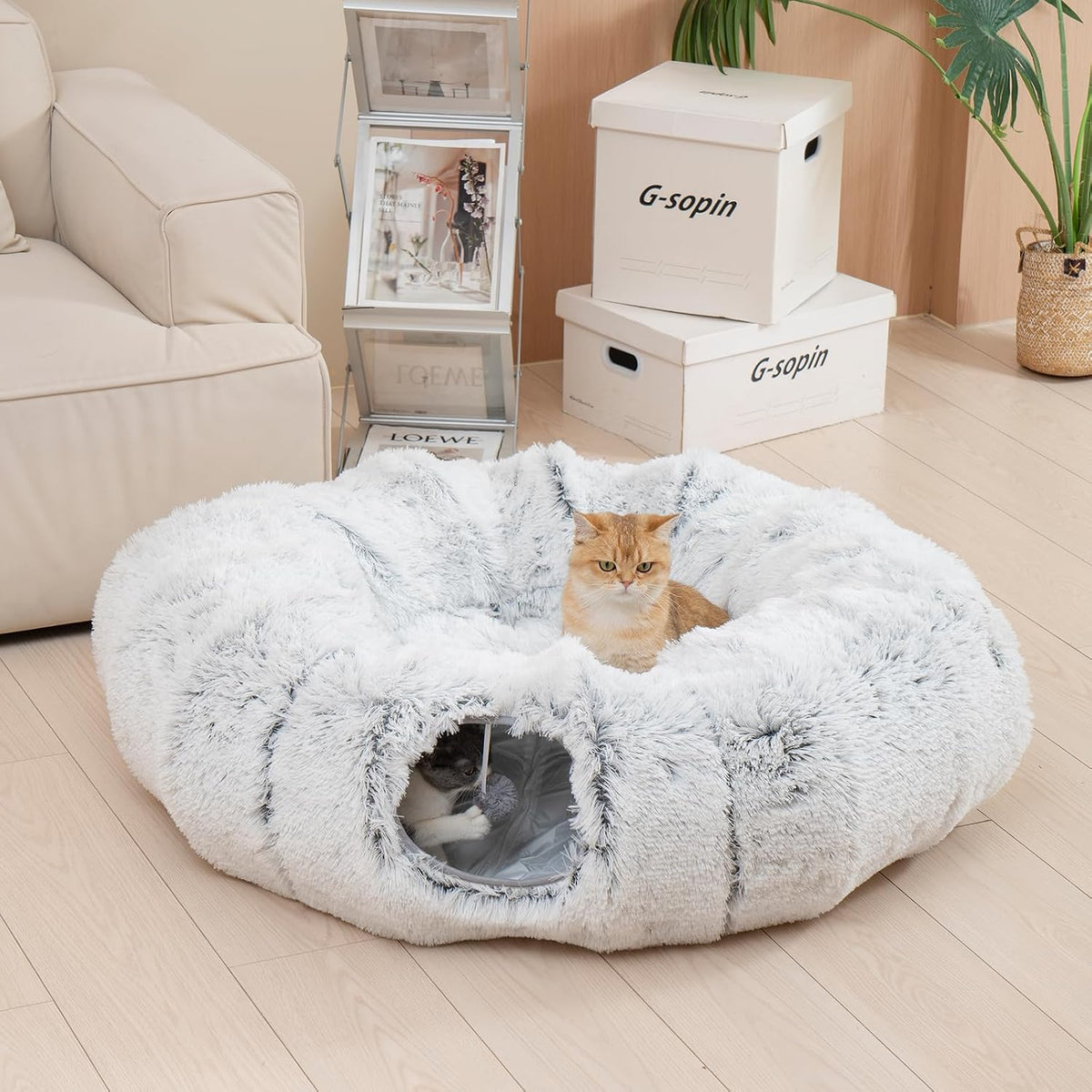 Avont cat tunnel bed in circle shape with plush ball and washable center cushion - view 3