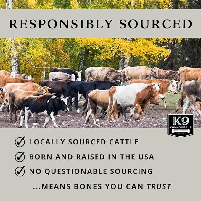 K9 Connoisseur Beef Marrow Rib Dog Bones Long Lasting 8 to 10 Inch Long - USA Made Single Ingredient for Medium Dogs Upto 50 Pounds - 8 Pack