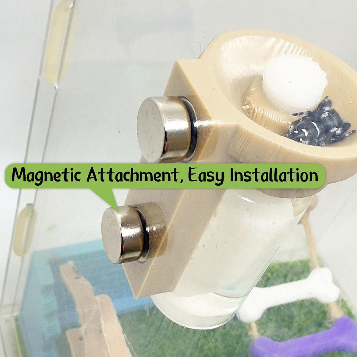 Jumping Spider Water Dispenser, Magnetic Hanging Feeder - Wood color / 15ML - image 3